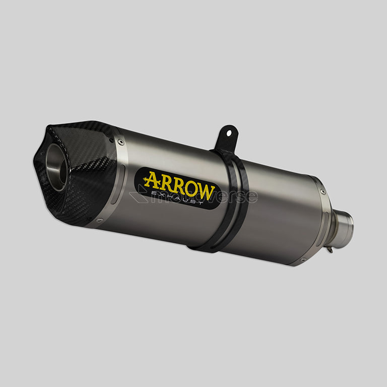 ARROW RACE-TECH TITANIUM SILENCER WITH CARBON END CAP FOR APRILIA RSV 4 - 71744PK